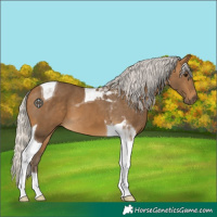 Horse Color:Silver Buckskin Tobiano 