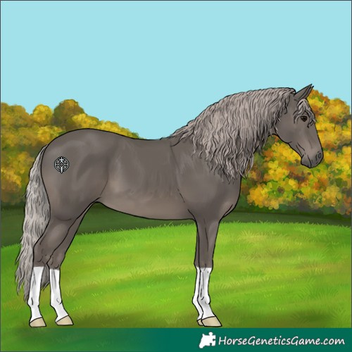 Horse Color:Silver Black 