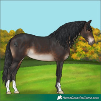 Horse Color:Brown 