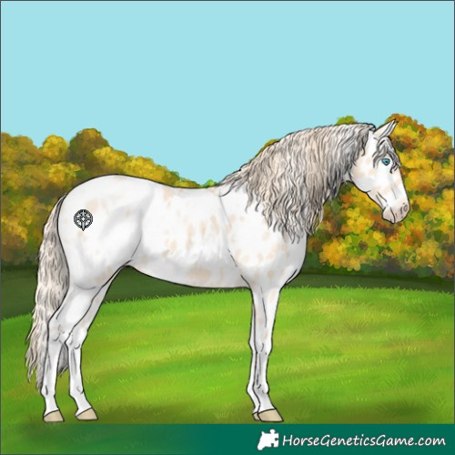 Horse Color:White Spotted Perlino Appaloosa