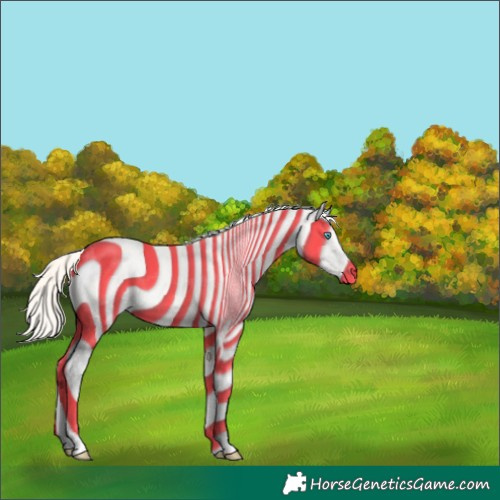 Horse Color:Cremello Dun Tobiano