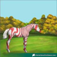 Horse Color:Cremello Dun Tobiano 