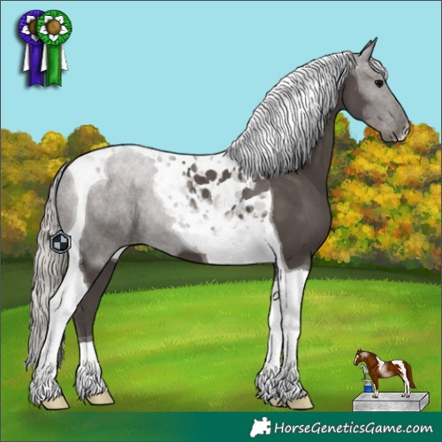 Horse Color:Silver Black Tobiano 