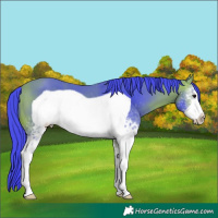 Horse Color:Watercolor White Spotted Bay Frame