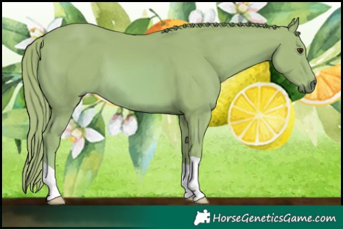 Horse Color:Watercolor Chestnut 