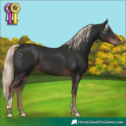 Horse Color:Liver Chestnut Mushroom Tobiano 