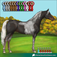 Horse Color:Liver Chestnut Mushroom Tobiano 