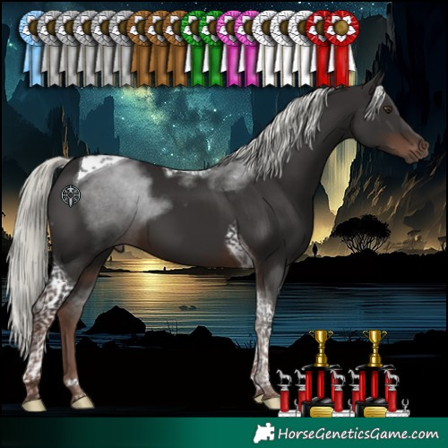 Horse Color:Liver Chestnut Mushroom Tobiano 