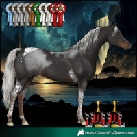 Horse Color:Liver Chestnut Mushroom Tobiano 