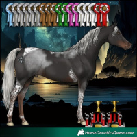 Horse Color:Liver Chestnut Mushroom Tobiano