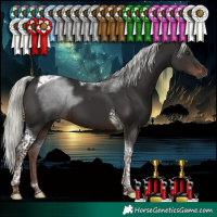 Horse Color:Liver Chestnut Mushroom Tobiano 