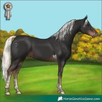 Horse Color:Liver Chestnut Mushroom Tobiano 