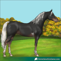 Horse Color:Liver Chestnut Mushroom Tobiano 