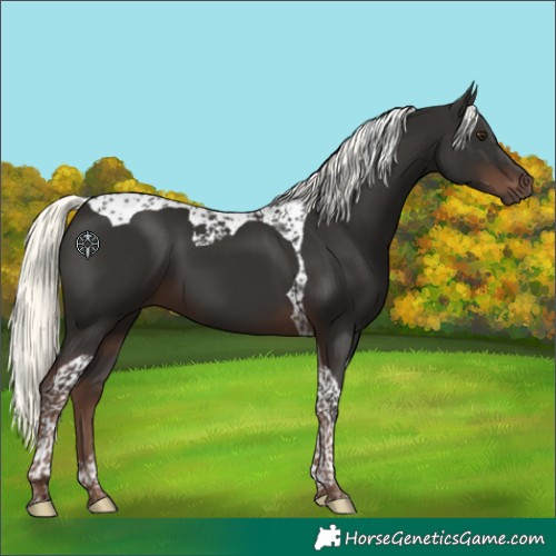 Horse Color:Liver Chestnut Mushroom Tobiano 