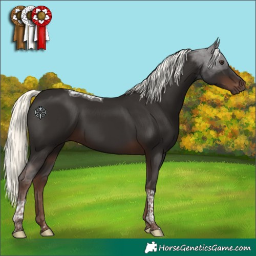 Horse Color:Liver Chestnut Mushroom Tobiano 