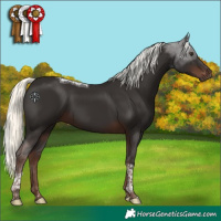 Horse Color:Liver Chestnut Mushroom Tobiano 