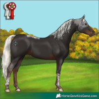 Horse Color:Liver Chestnut Mushroom Tobiano