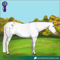 Horse Color:Chocolate Palomino Dun Snowflake Varnish  and Chocolate Palomino Dun Snowflake Varnish 