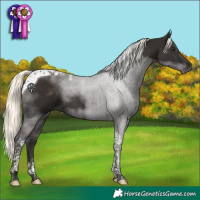 Horse Color:Liver Chestnut Mushroom Tobiano 