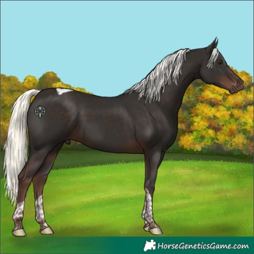 Horse Color:Liver Chestnut Mushroom Tobiano 