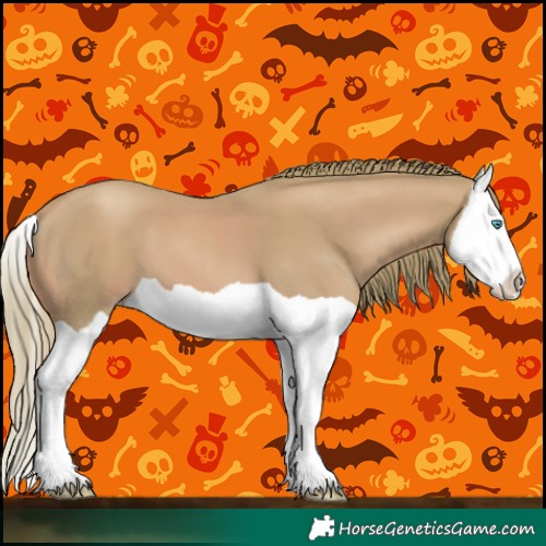 Horse Color:Watercolor Gold Champagne Splash 
