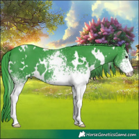 Horse Color:Watercolor White Spotted Black 
