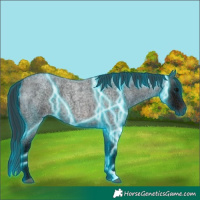 Horse Color:Thunderstruck Brown Ice Roan 