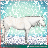Horse Color:Perlino Blanket 