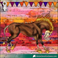 Horse Color:Bay 