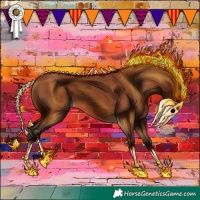 Horse Color:Bay 