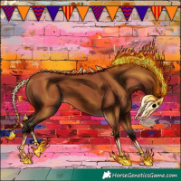 Horse Color:Bay 