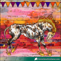 Horse Color:Bay Appaloosa 
