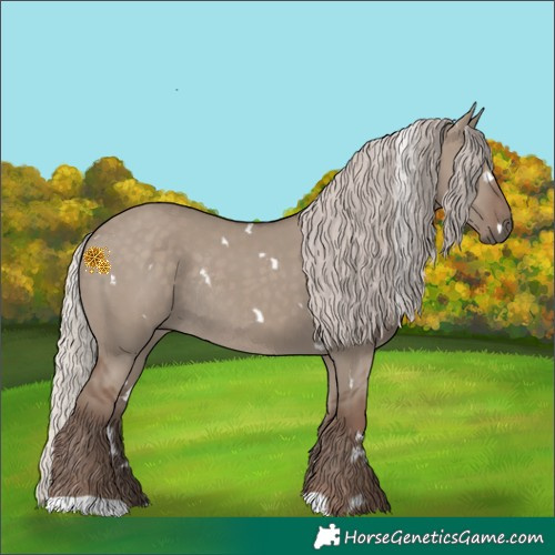 Horse Color:White Spotted Silver Grullo Rabicano