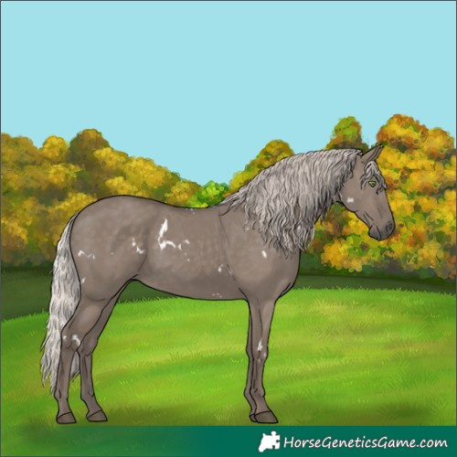 Horse Color:White Spotted Silver Grullo Rabicano 
