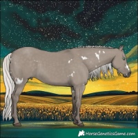 Horse Color:White Spotted Silver Smoky Grullo Rabicano