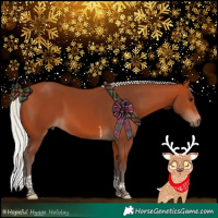 Horse Color:Silver Bay Tobiano 