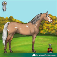 Horse Color:White Spotted Silver Bay Dun Rabicano 