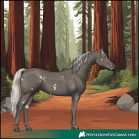 Horse Color:White Spotted Silver Black Rabicano 