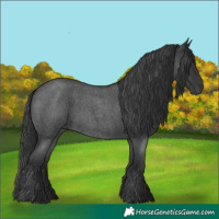 Horse Color:Blue Roan 