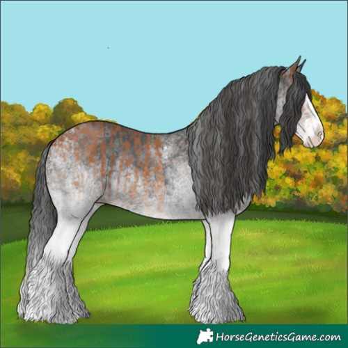 Horse Color:White Spotted Bay Splash  and White Spotted Black Splash 