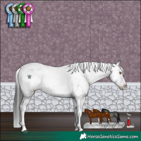 Horse Color:Brown Dun Sabino Rabicano 