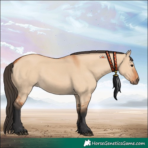 Horse Color:Bay Dun 