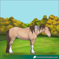 Horse Color:Amber Champagne Tobiano 