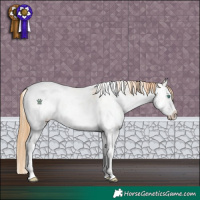 Horse Color:White Spotted Smoky Black Pearl Sabino Appaloosa Rabicano 