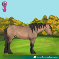 Horse Color:Bay Dun