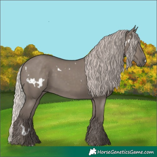 Horse Color:White Spotted Silver Grullo Rabicano 