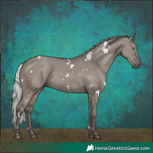 Horse Color:Platinum White Spotted Silver Smoky Grullo Rabicano