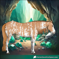 Horse Color:Chestnut Sabino 