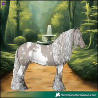 Horse Color:White Spotted Silver Grullo Appaloosa Rabicano 