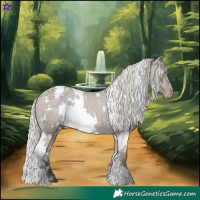 Horse Color:White Spotted Silver Grullo Appaloosa Rabicano 